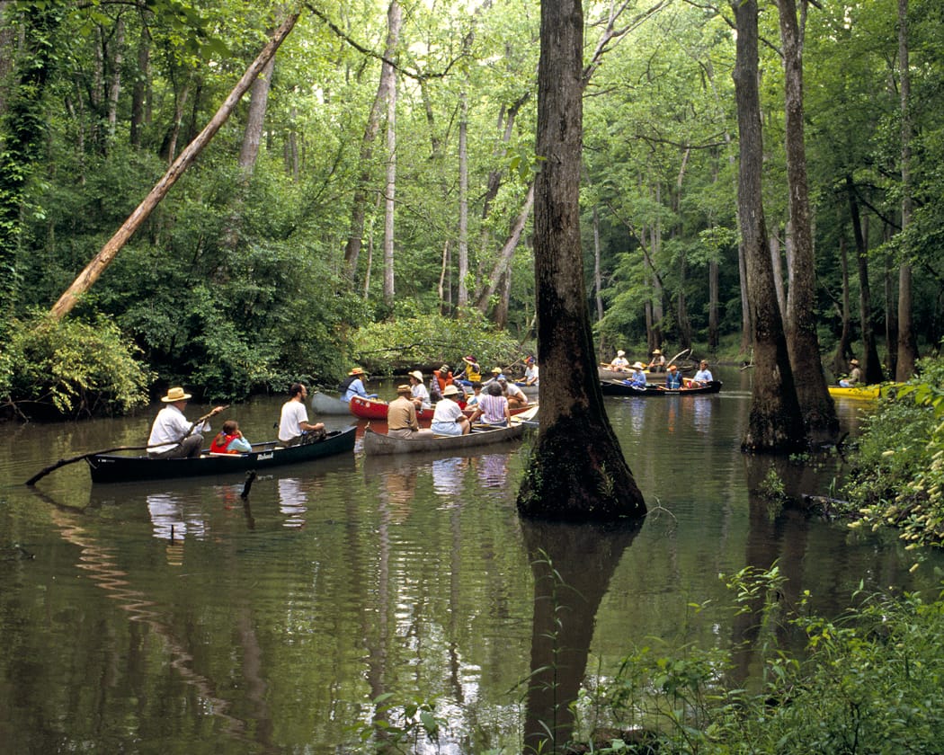 A group of people in canoes on a river.