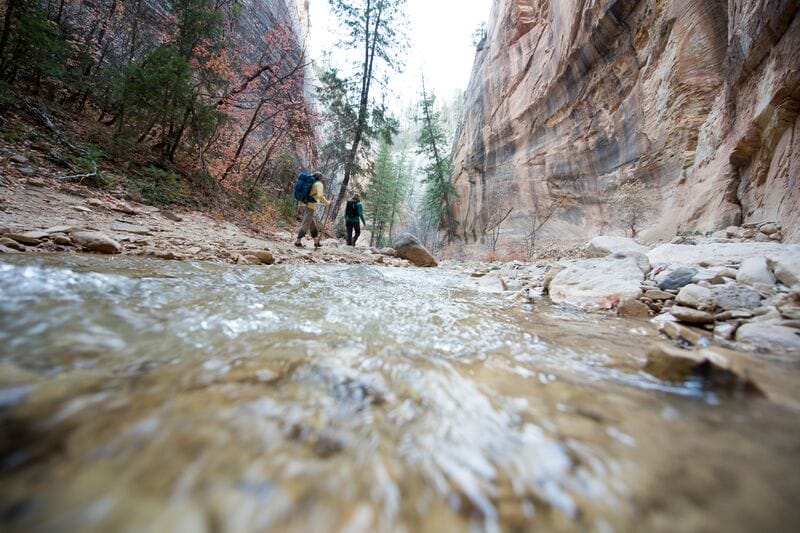 Two hikers walking through a stream in a canyon.