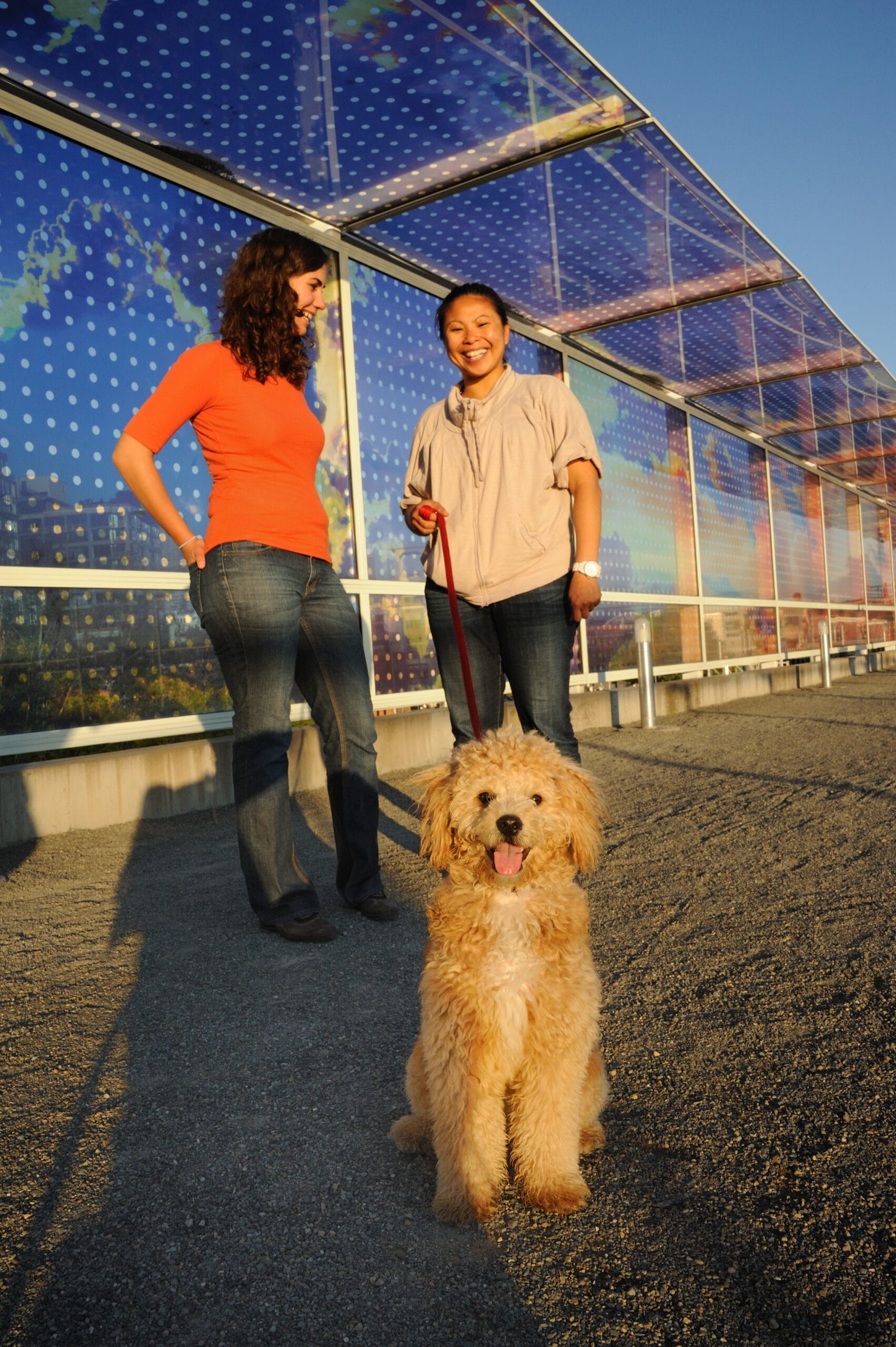Two people and a dog standing in front of a solar paneled building.