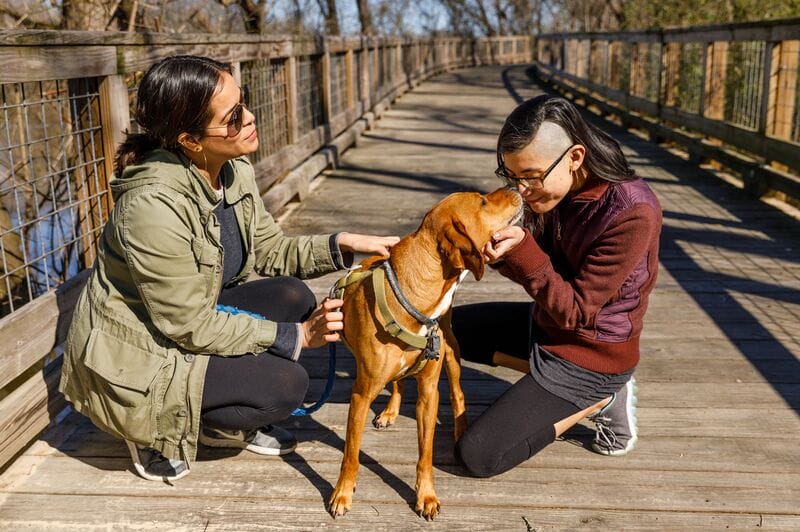 Two women petting a dog on a wooden bridge.