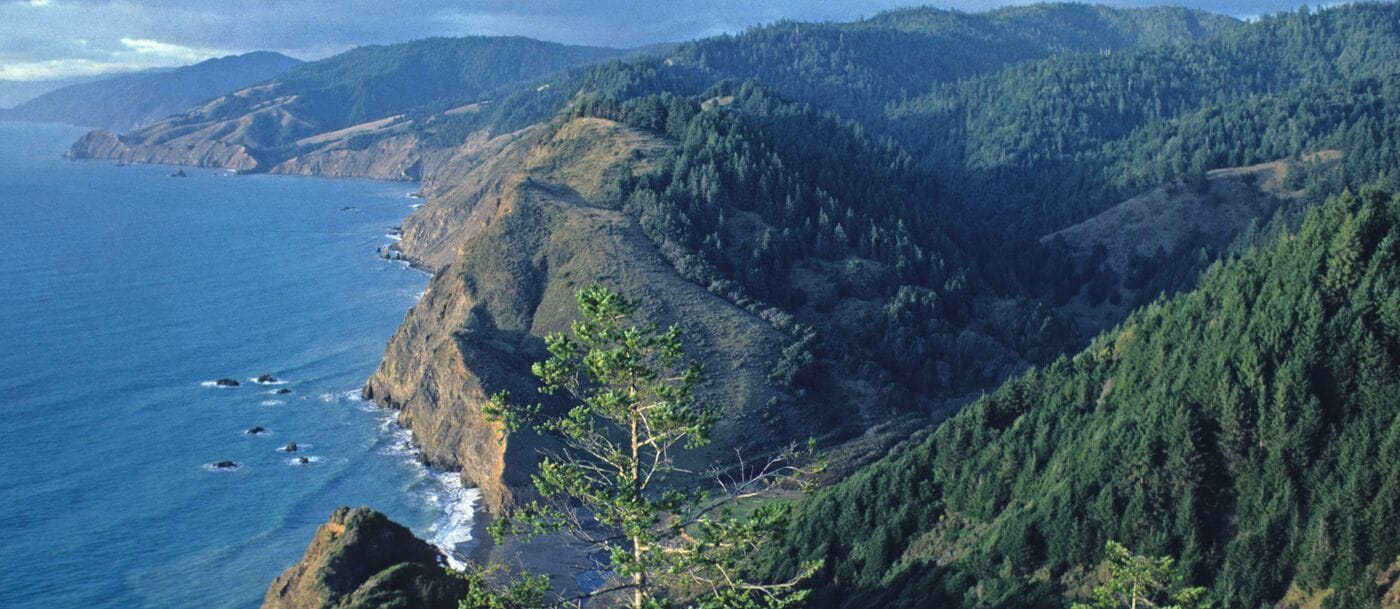 A high view across the cliffs, forests and rugged coastline at Sinkyone on the northern coast of California. Photo: Daniel Hoffman