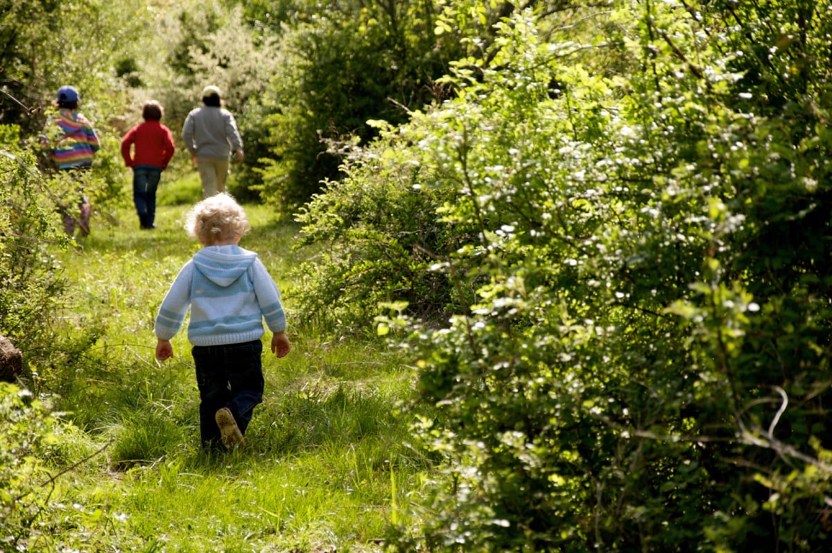 400 Years Old, a Connecticut Farm Still Feeds the Hungry - Trust for Public  Land, image size:1200x797
