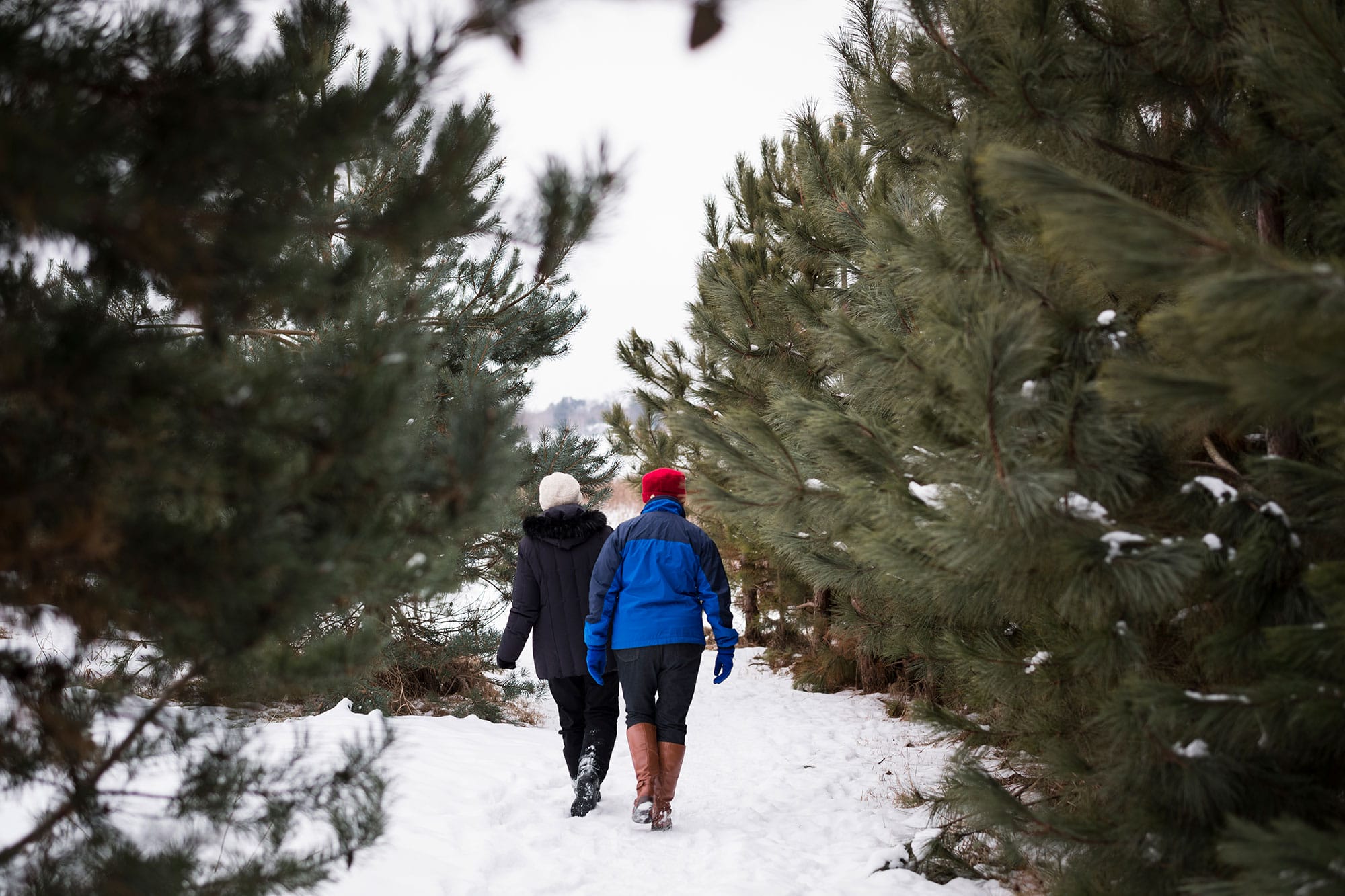 Two people walking through a snowy forest.