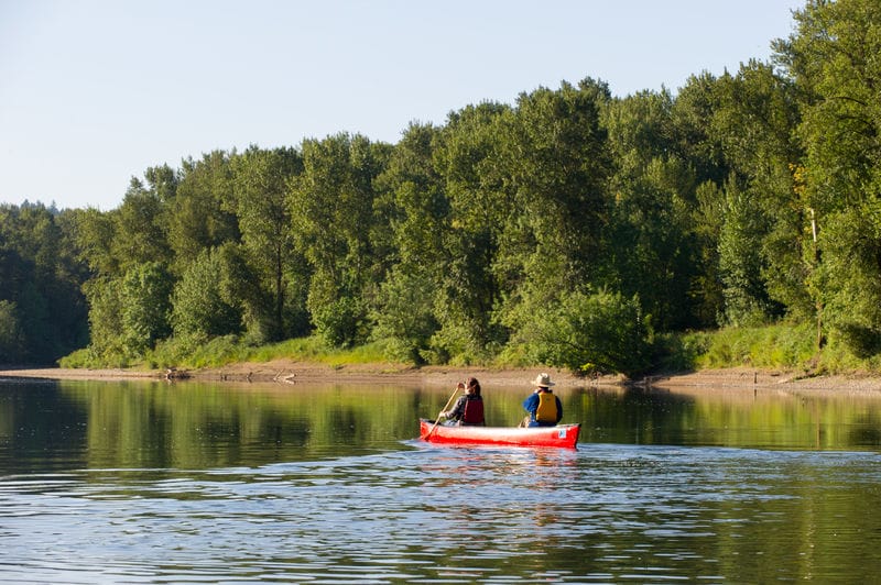 Two people paddling a canoe on a river.
