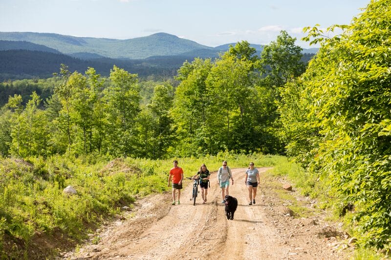 A group of people walking down a dirt road with a dog in the background.
