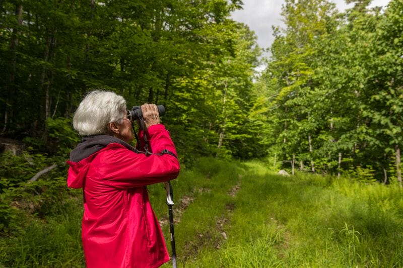 A woman in a red jacket is taking a picture in the woods.