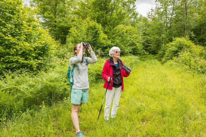 Two women walking through a wooded area with binoculars.
