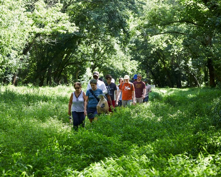 A group of people walking through a forest.