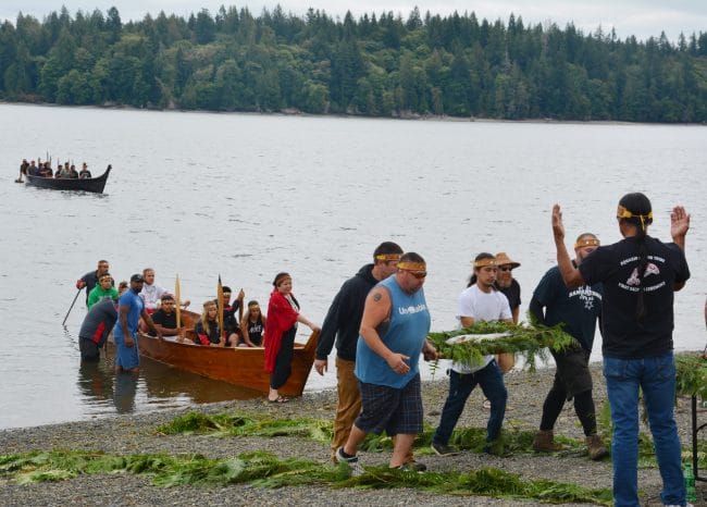 People land a canoe and bring a fish to shore on a bed of cedar boughs