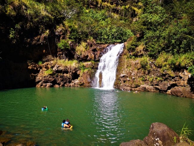 A waterfall in Waimea Valley with people swimming in the pool