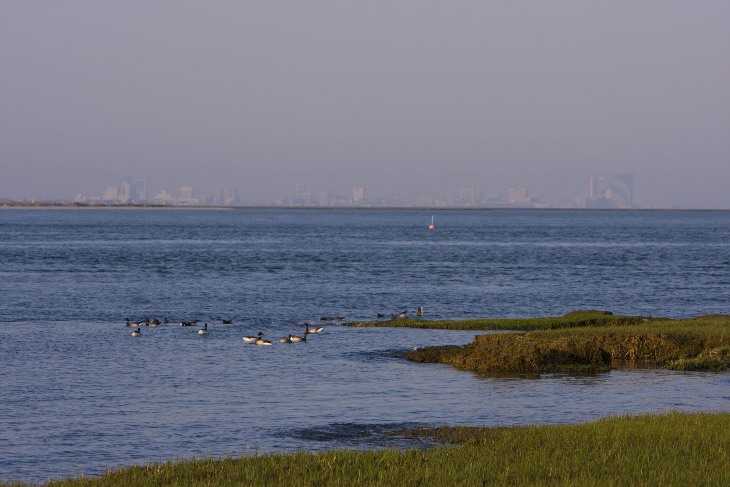 Seven years after Sandy, how cities are preparing for future storms ...