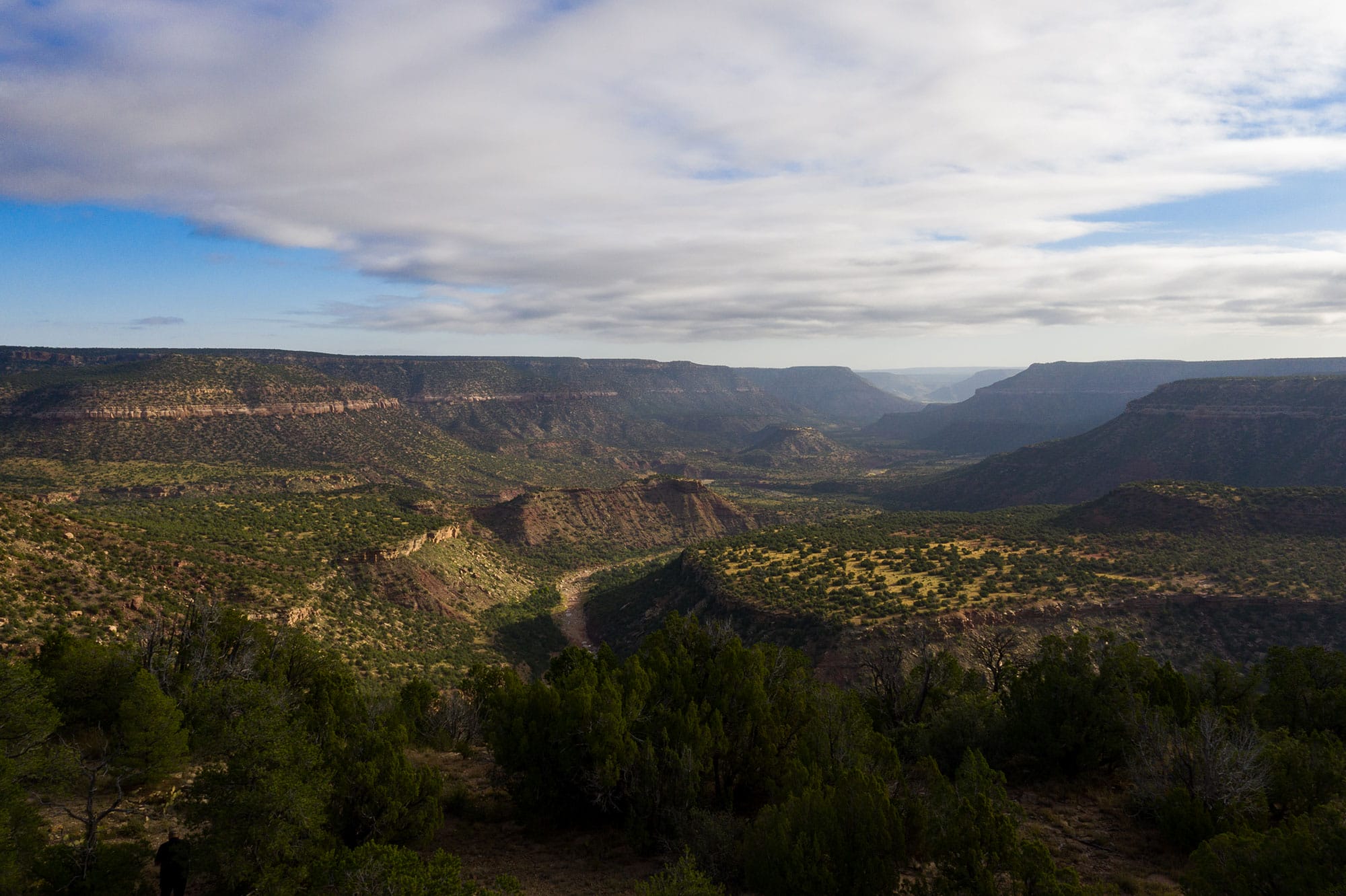 A view of a canyon with trees and a cloudy sky.