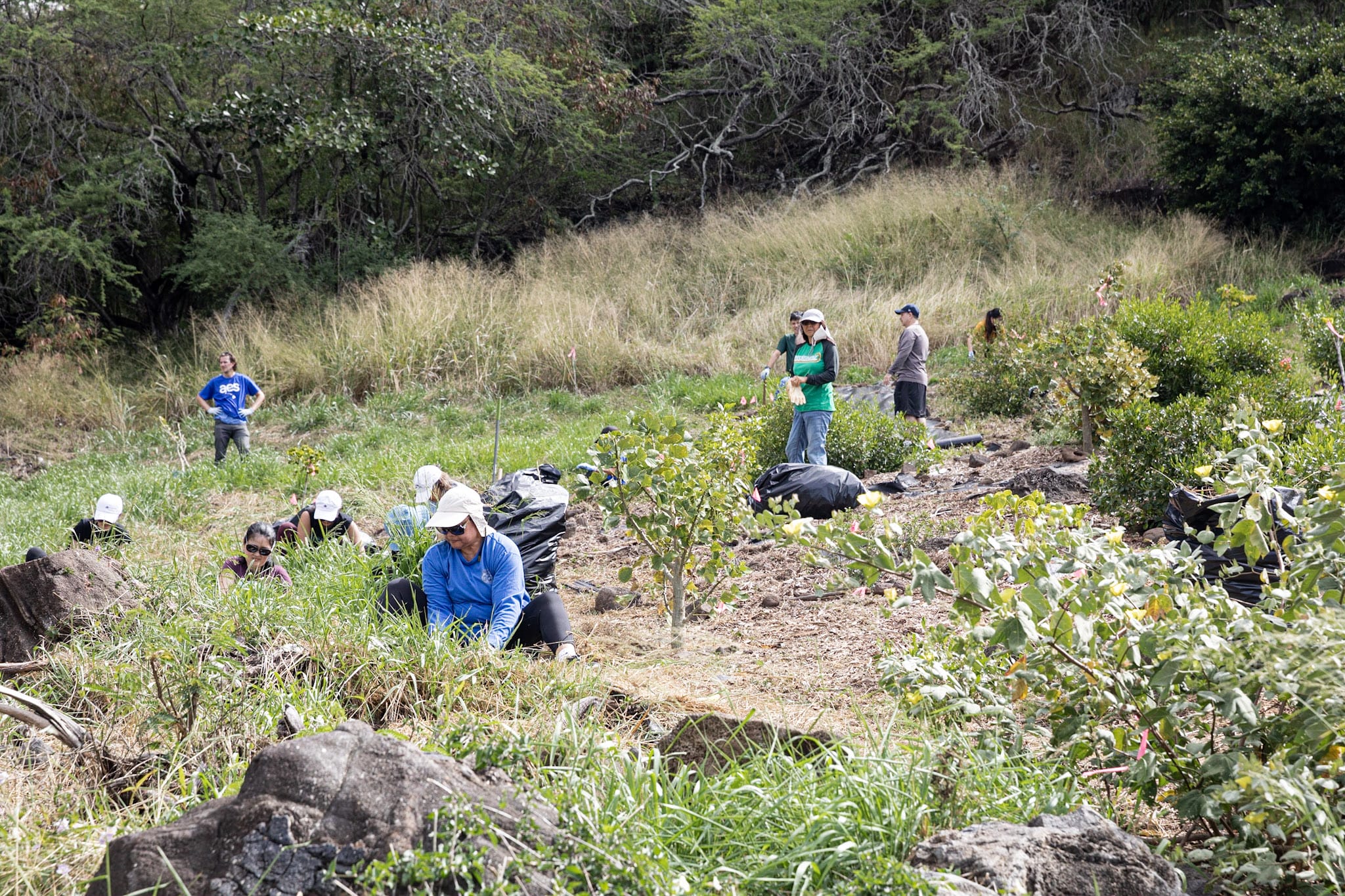 A group of people working on a hillside.