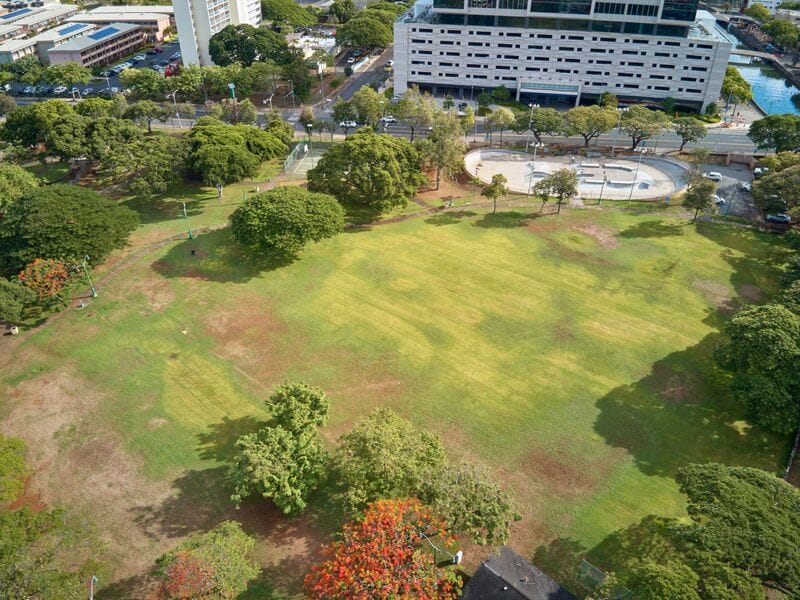 An aerial view of a park in a city.