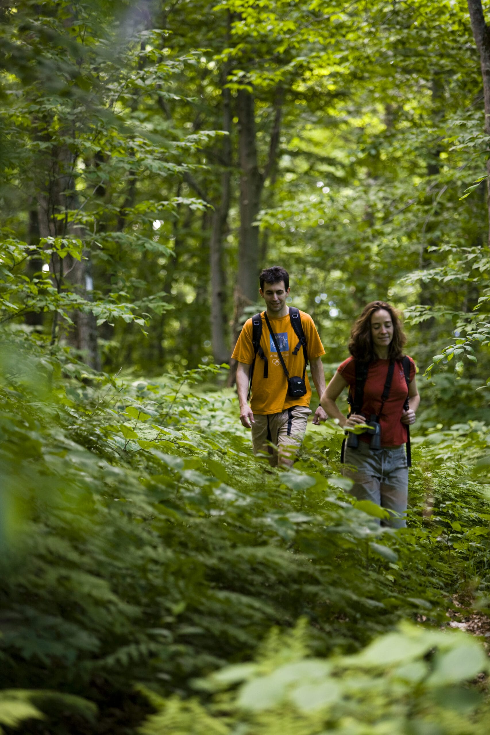A couple walking through a wooded area.
