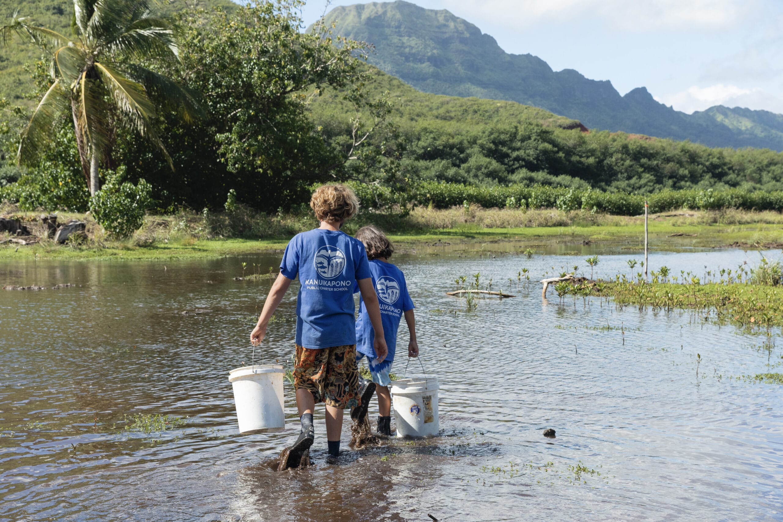 Two boys in blue shirts walking through water with buckets.