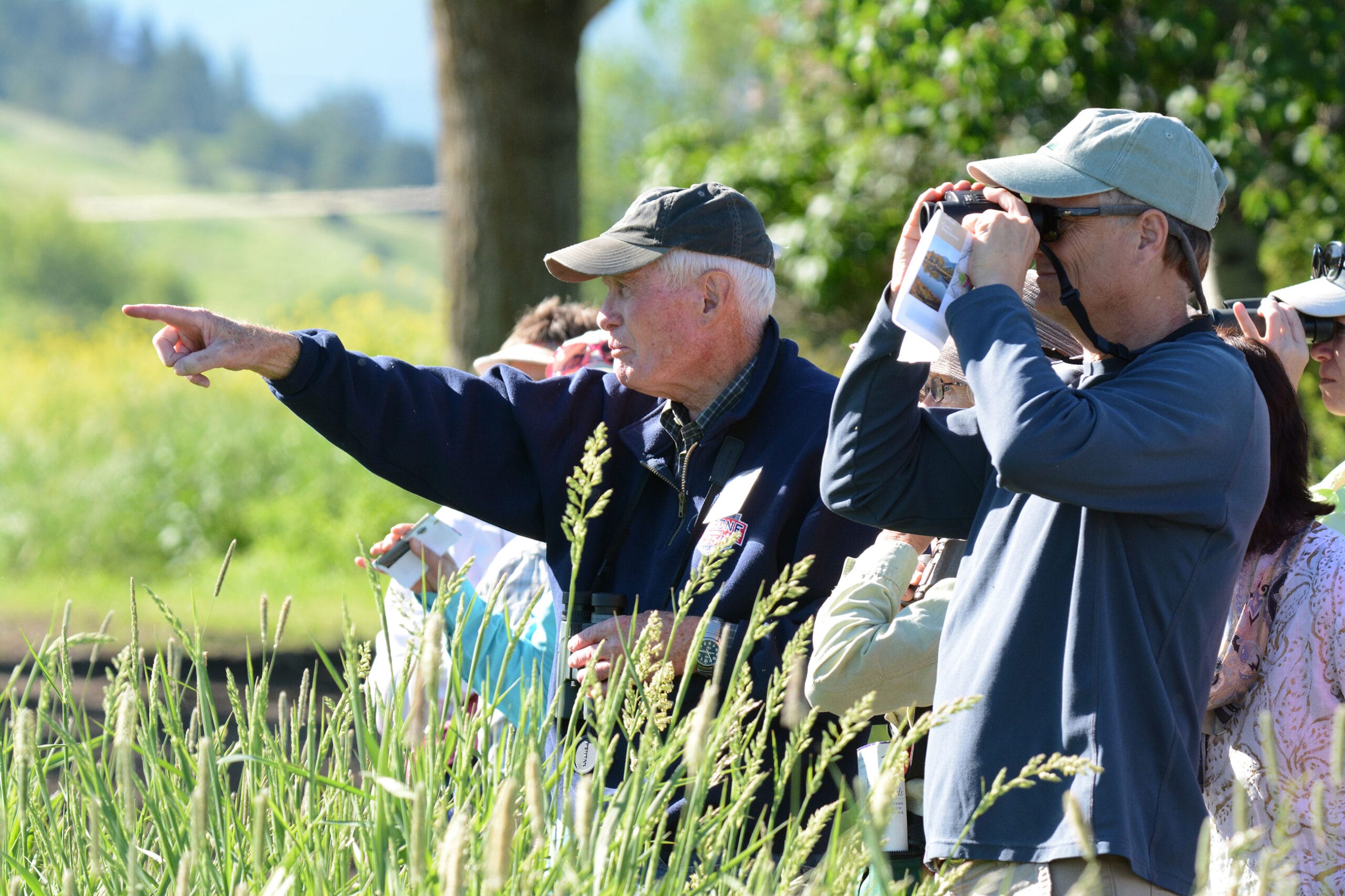 A group of people looking through binoculars at tall grasses.