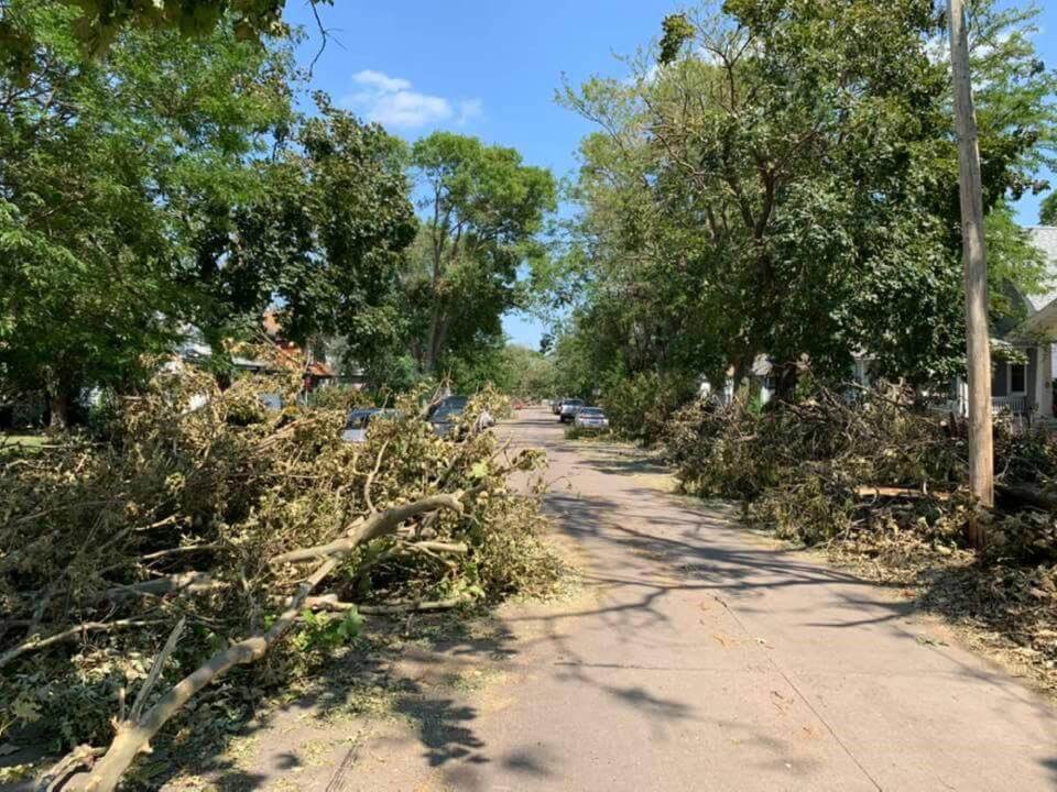 A tree has fallen on a street in a residential neighborhood.