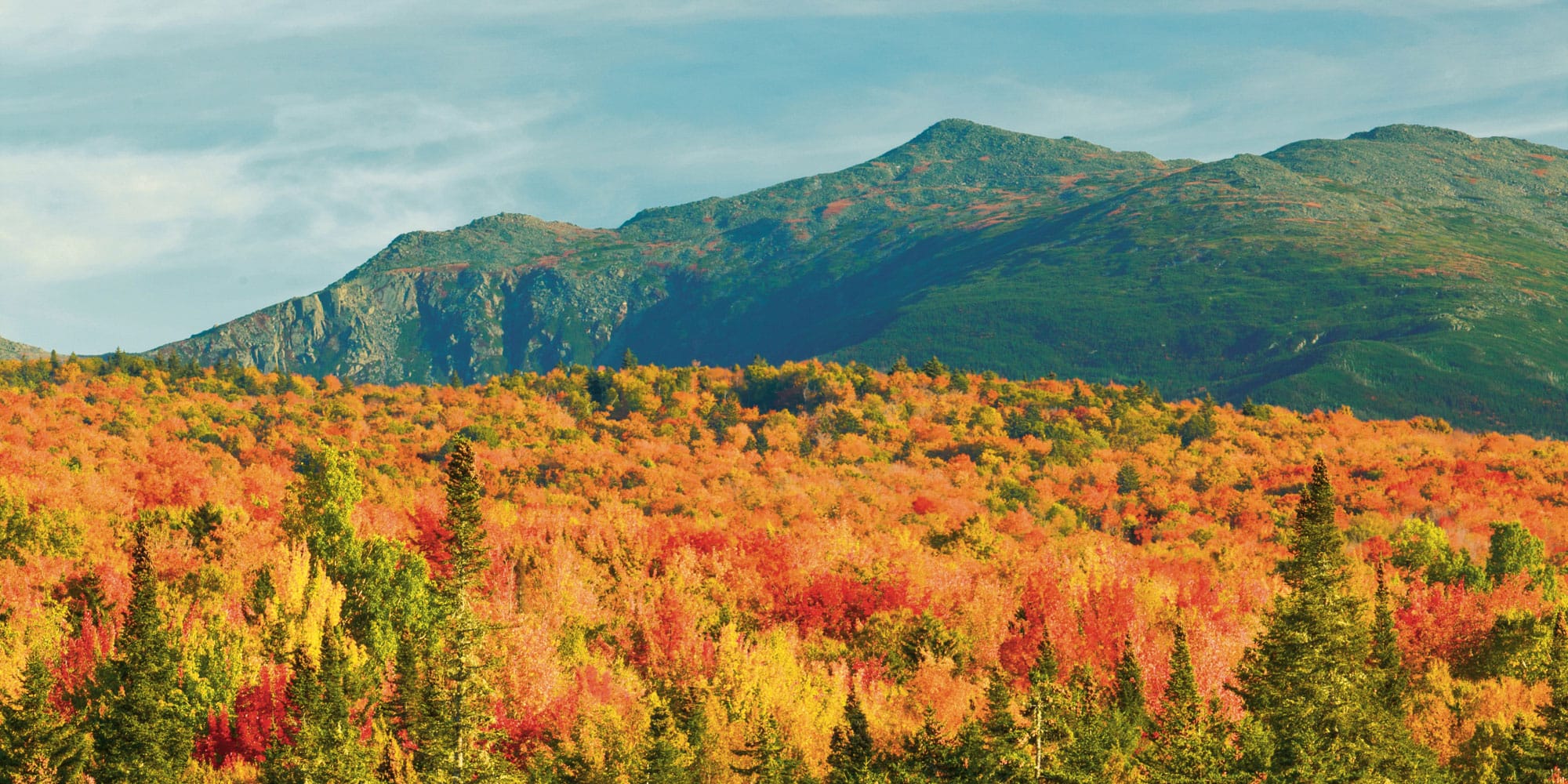 A mountain range is in the background.