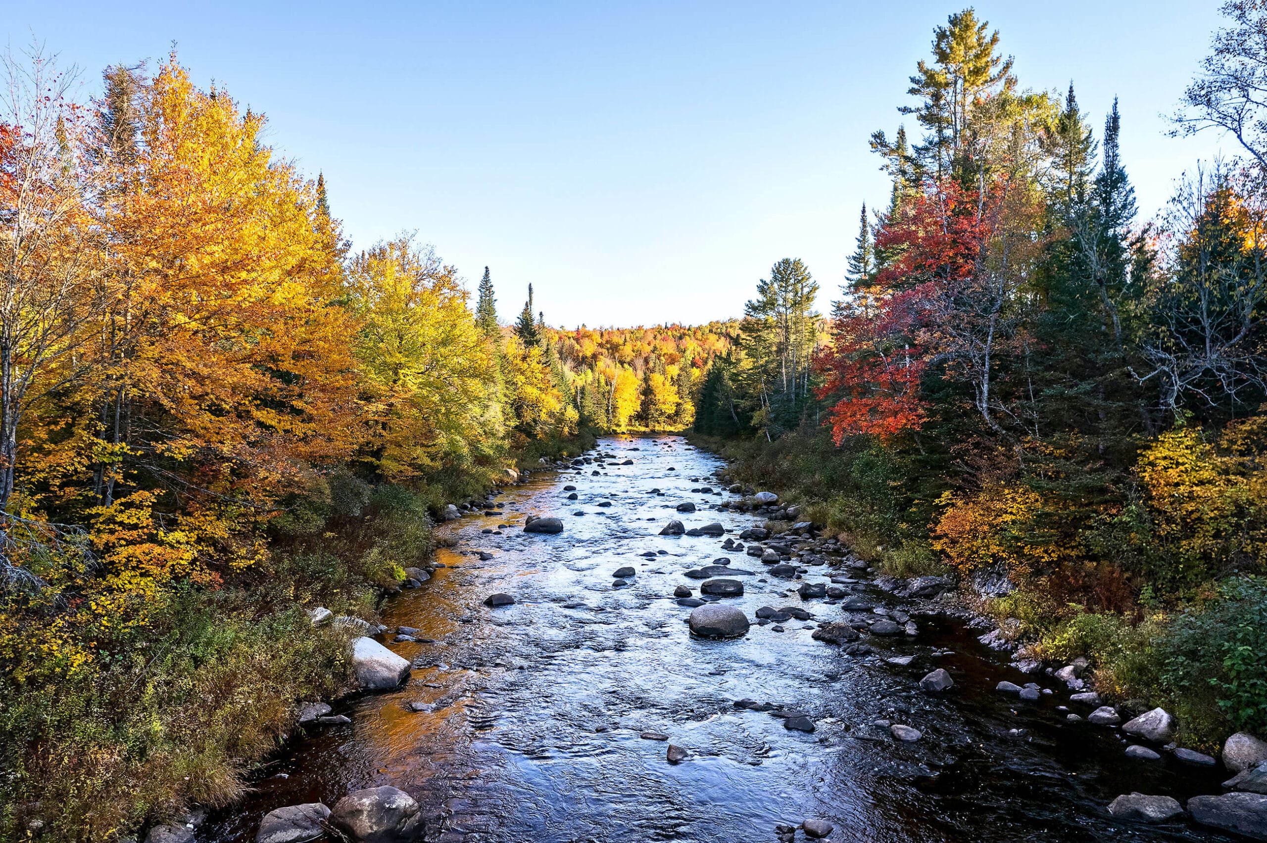 A river surrounded by trees in the fall.