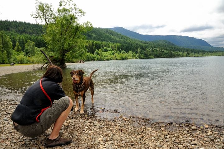 Rattlesnake Ridge featured image