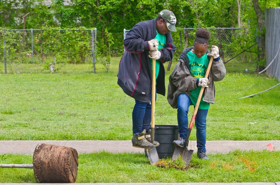 Two people working on planting a tree in a yard.