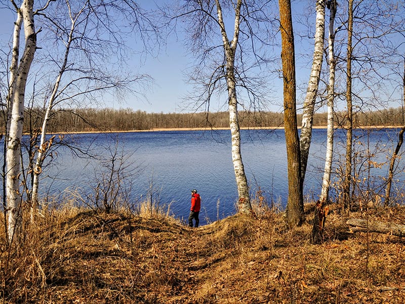 Indian Jack Lake Wildlife Management Area featured image