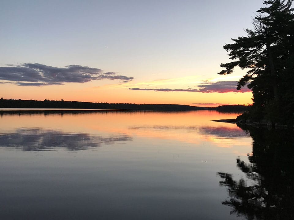 Downeast Lakes Community Forest: Lakeville Expansion featured image