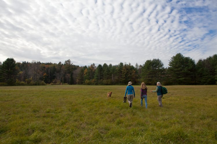 Three people walking in a field with a dog and a kite.