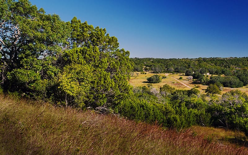 Peaceful Springs Preserve featured image