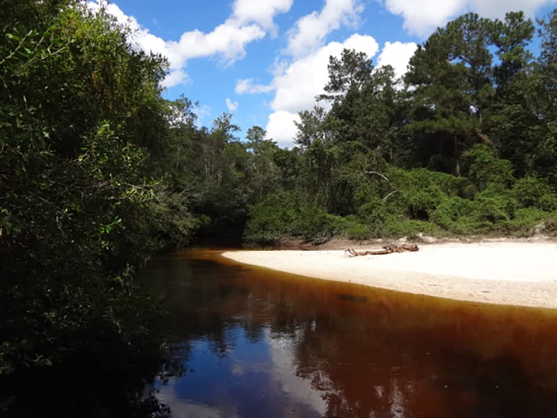 Tuxachanie Creek featured image