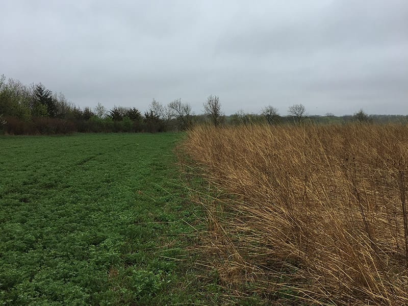 Warsaw Wildlife Management Area featured image