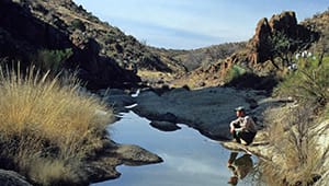 Land and Water–Arizona featured image