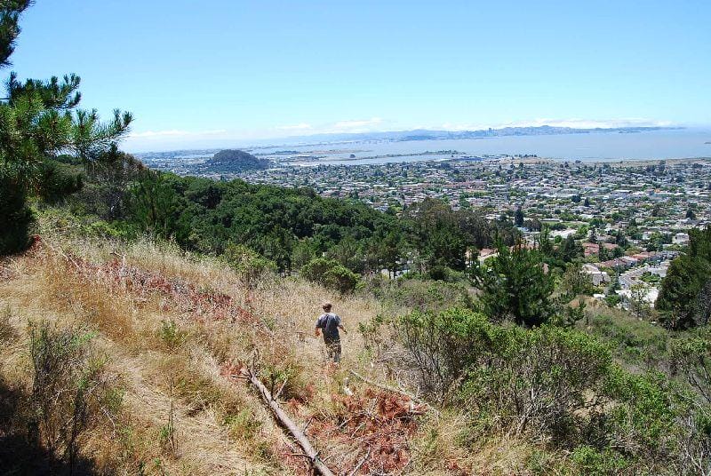 Madera Hillside featured image