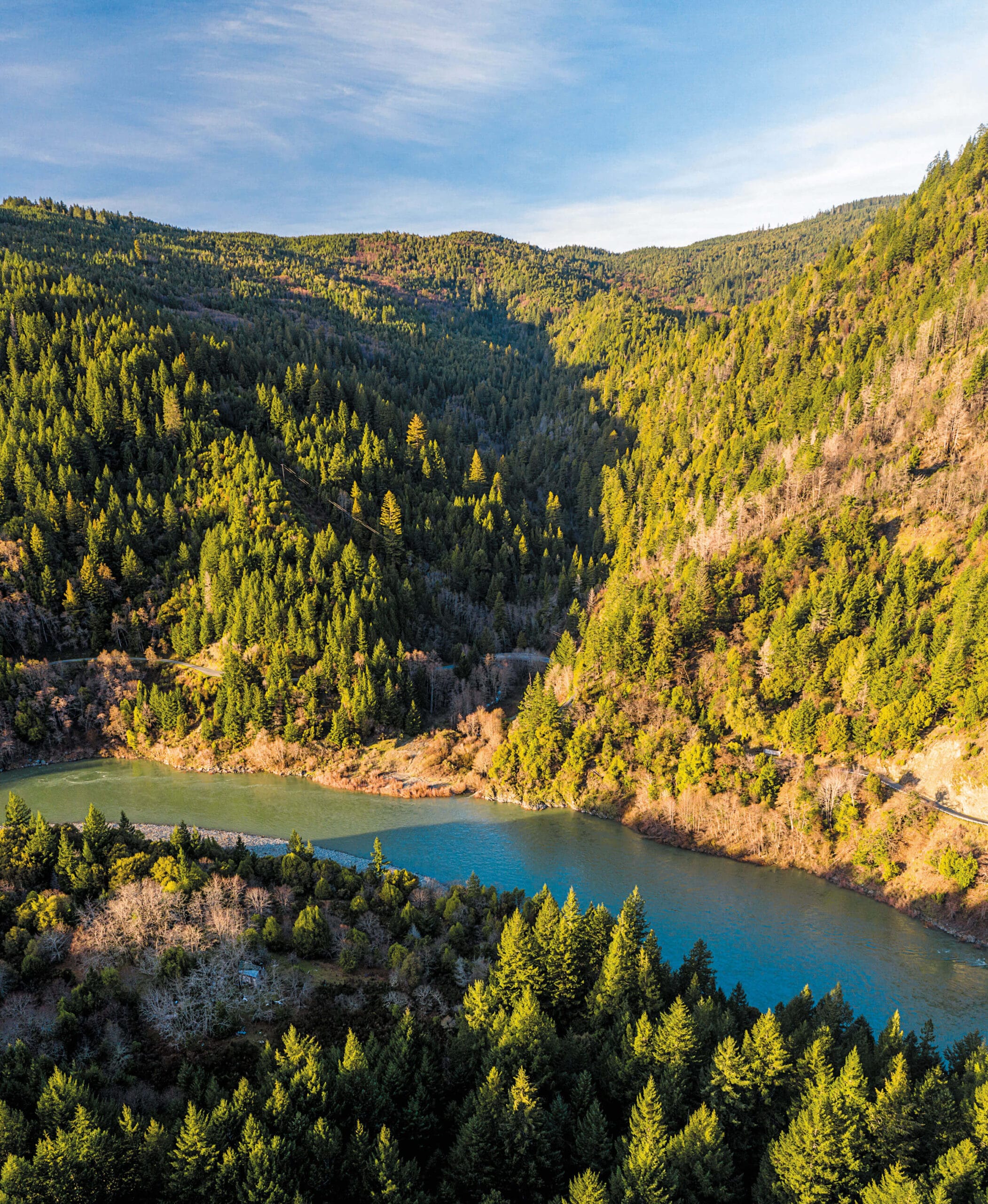 An aerial view of a river surrounded by trees.