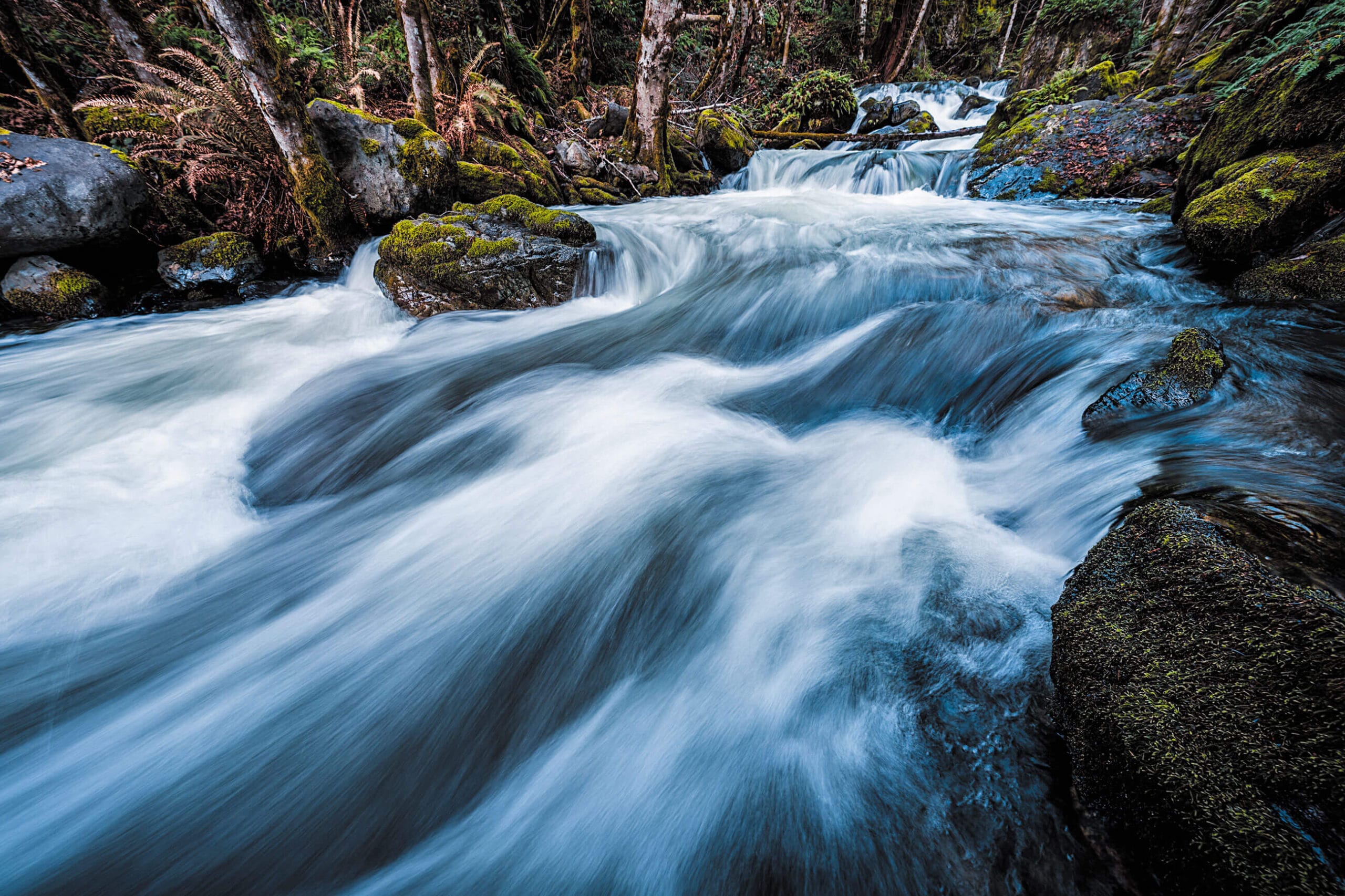 A river is flowing through a forest.