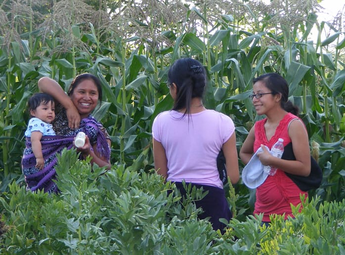 Rio Grande Farm Park featured image