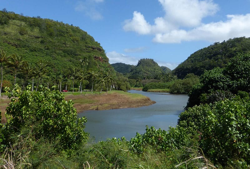 Pu’ukua/Waimea Valley featured image