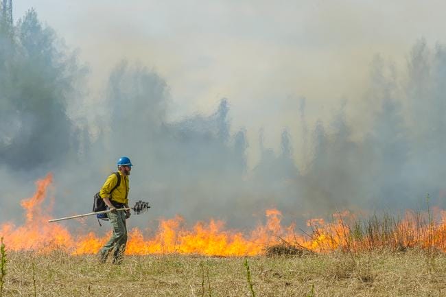 A wildland firefighter monitors a fire during a controlled burn at a wildlife refuge in Alaska.