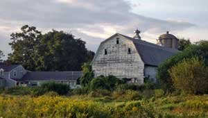 Echodale Farm featured image