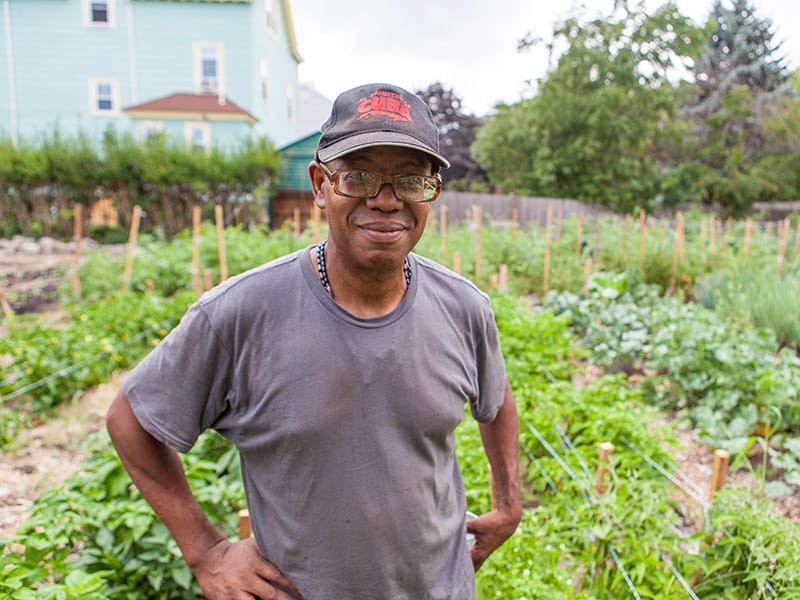 Boston Urban Agriculture featured image