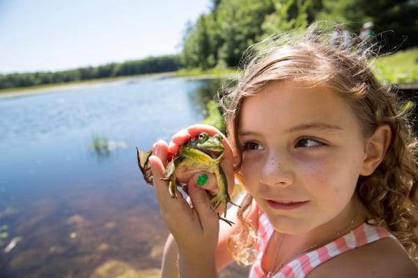 Knight’s Pond and Blueberry Hill featured image