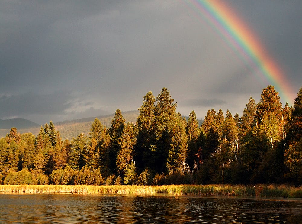 Kootenai Valleys Conservation Project featured image