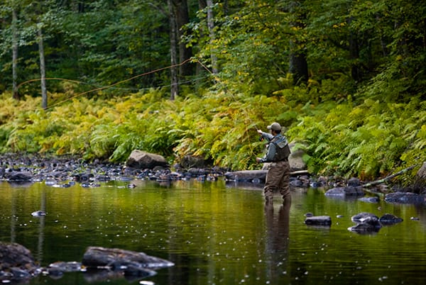 Isinglass River featured image