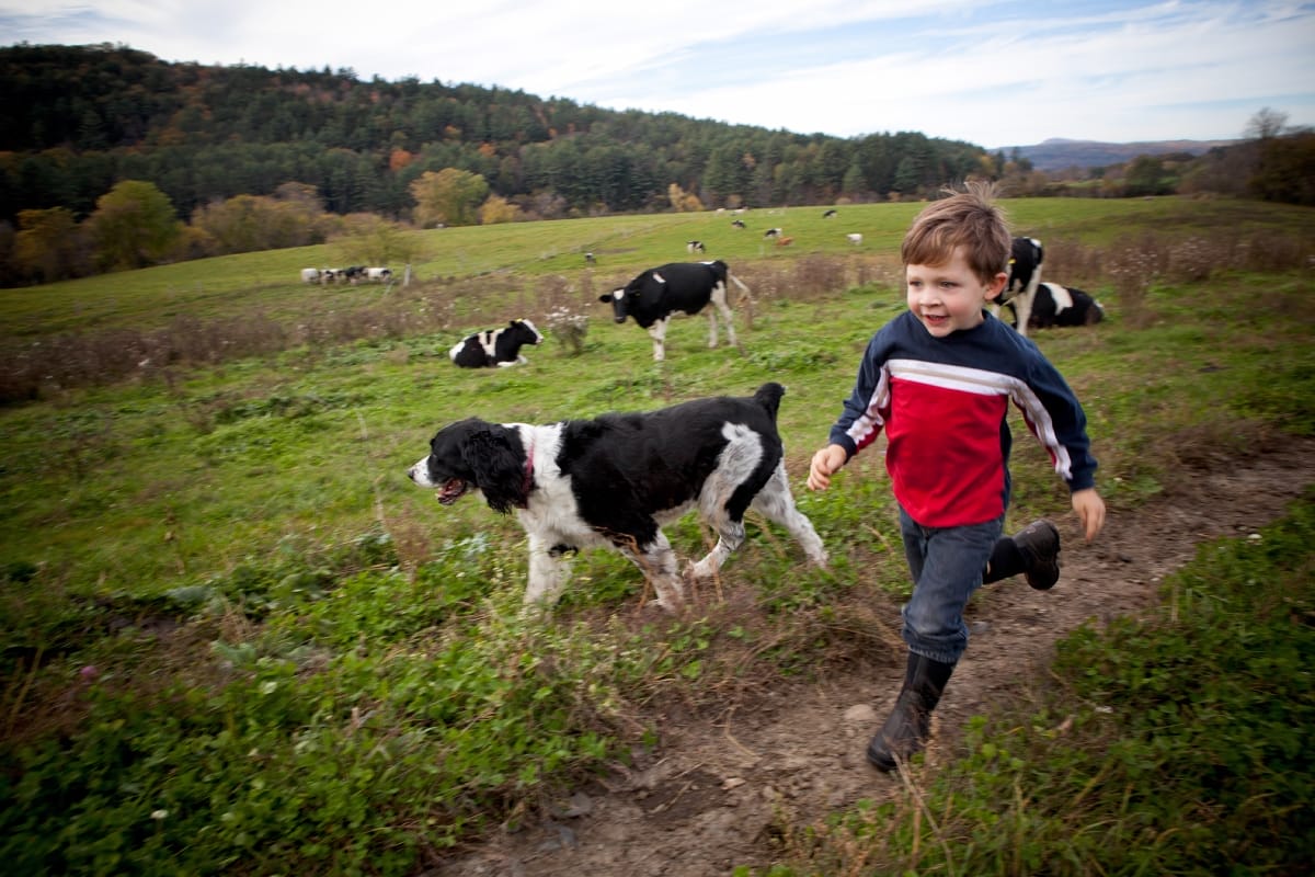 Robie Farm featured image