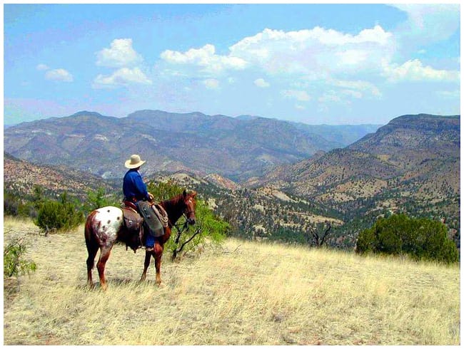 Double E Ranch featured image