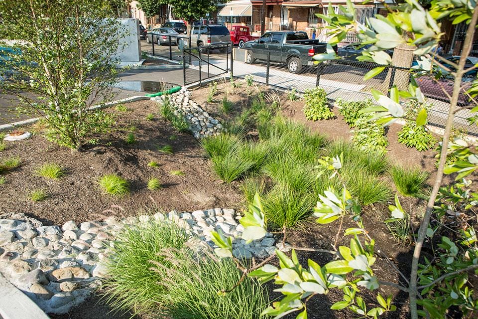 Green infrastructure like trees, rain gardens, and bioswales prevents flooding on schoolyards, making them available for play throughout the year. Those features also capture stormwater during rain events, improving water quality in local rivers. See how new York is deploying green infrastructure.