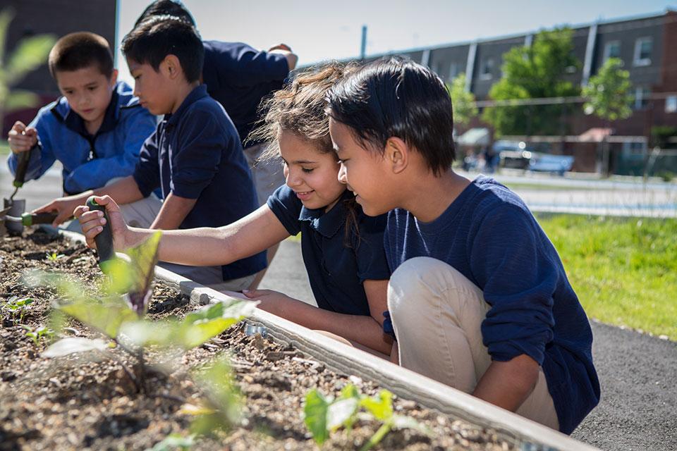 Our Schoolyard Pledge: Trust for Public Land