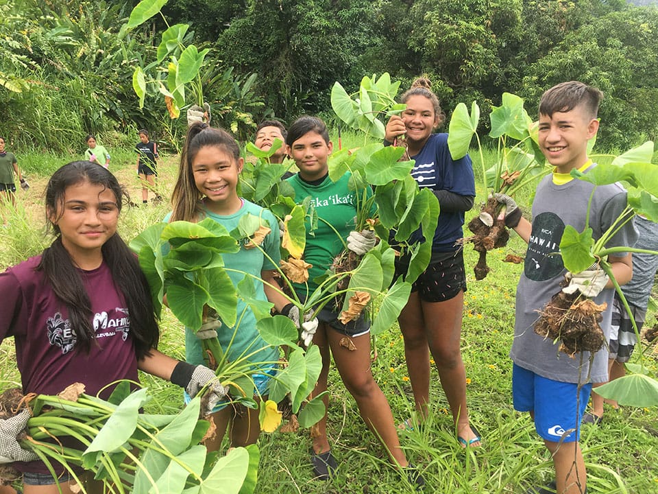 The Community Guide to Land Conservation featured image