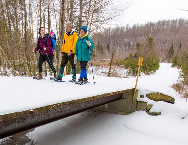 Jim Jeffords State Forest featured image